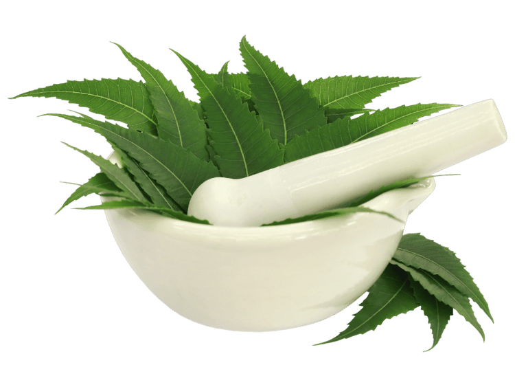 Neem Ayurvedic Collection