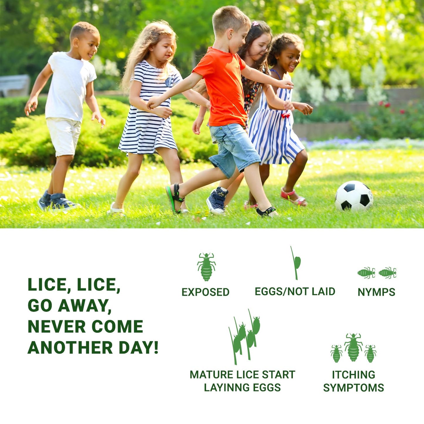 Mediker Anti-Lice Treatment Shampoo - 50ml