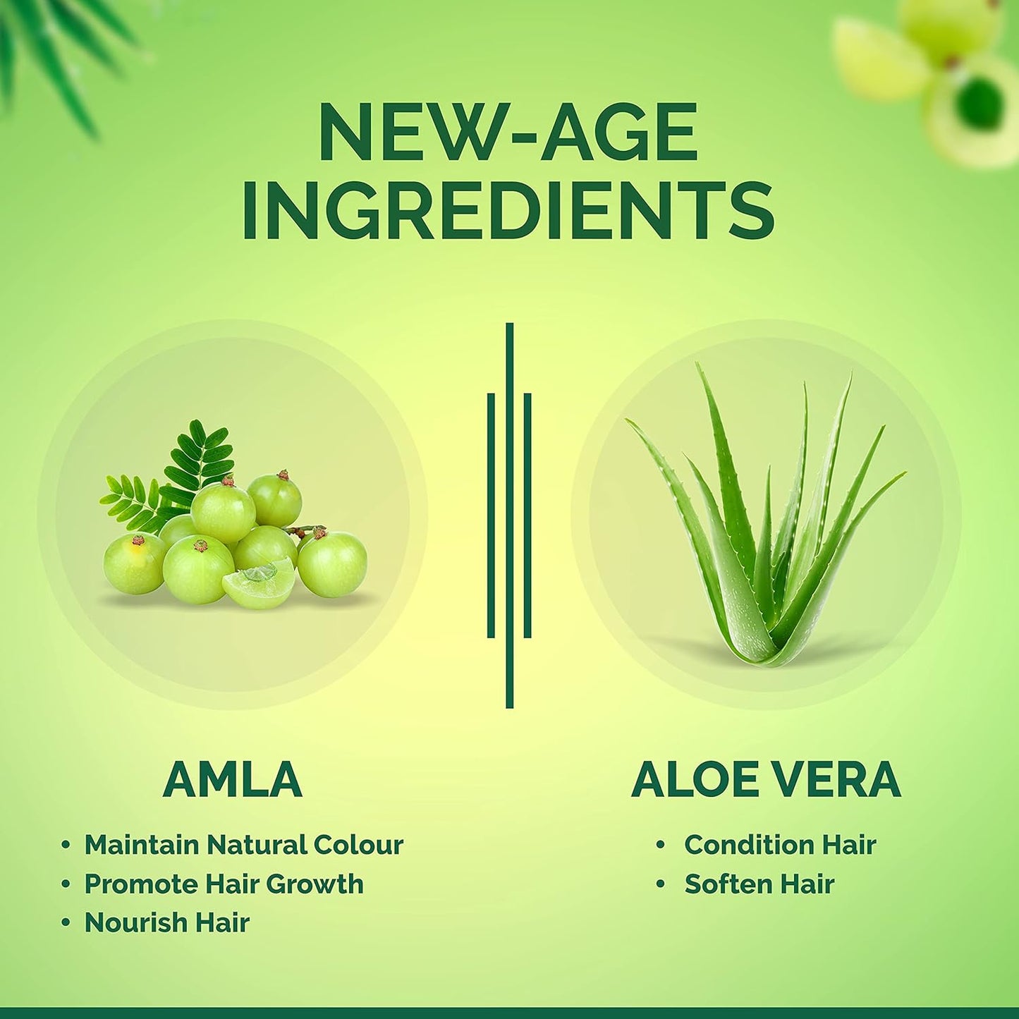 New Bajaj Amla - Aloe Vera 180ml