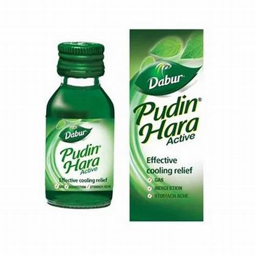 Dabur Pudin Hara-125ml