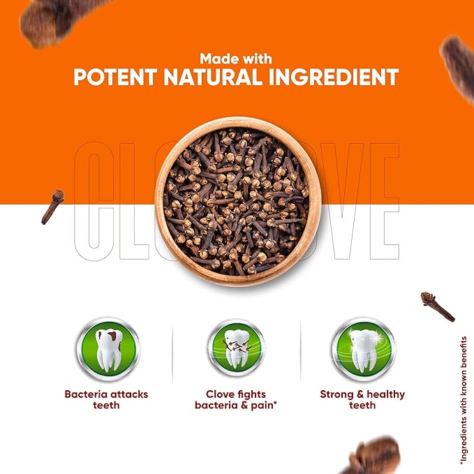 Dabur Clove Toothpaste (100ml)
