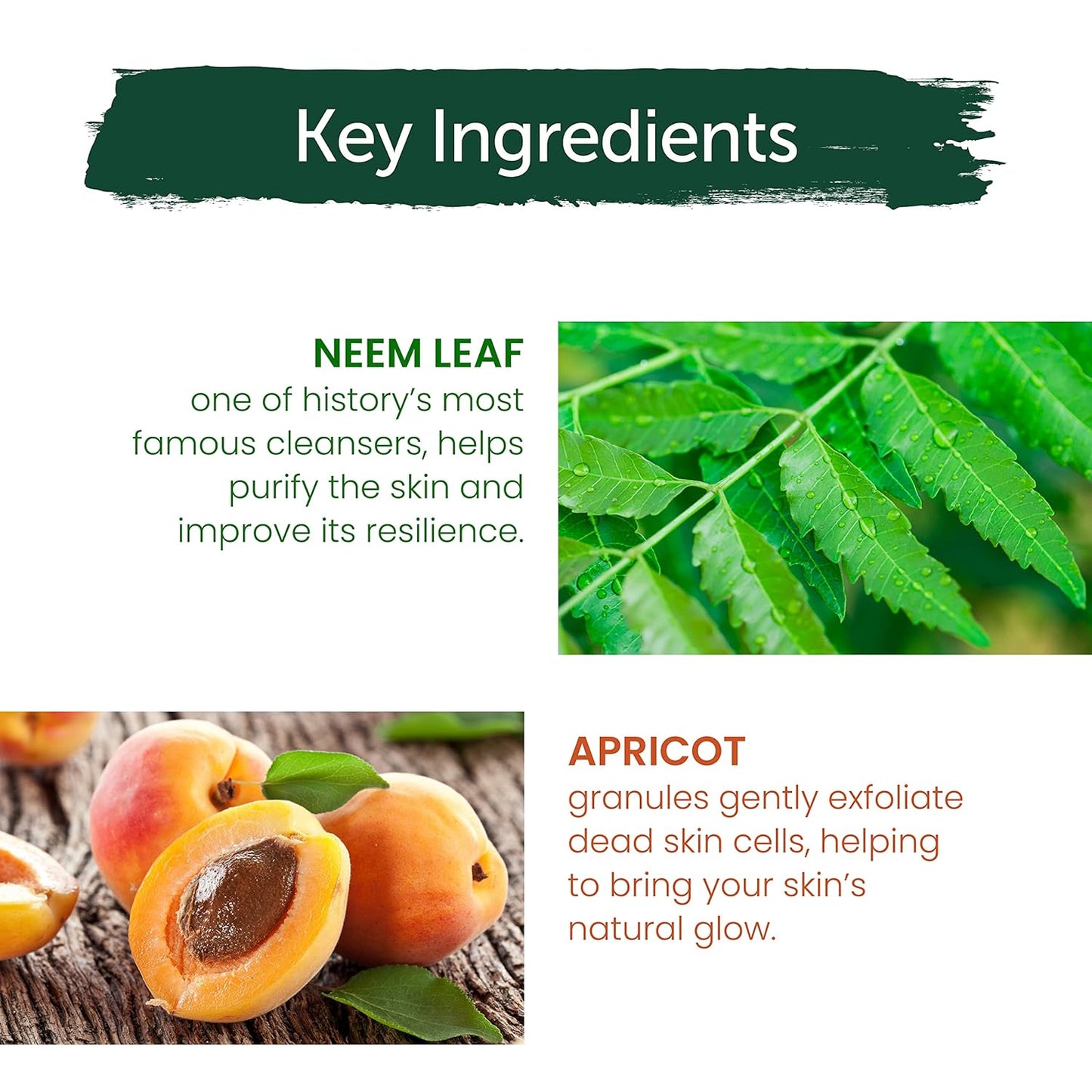 Himalaya Purifying Neem Scrub
