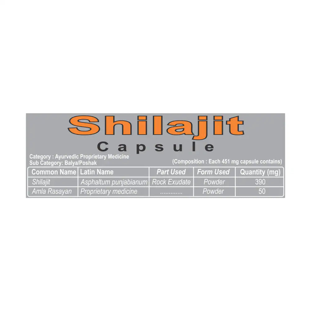 Patanjali Shilajit